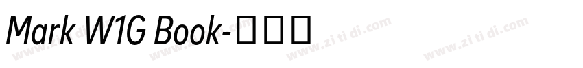 Mark W1G Book字体转换 Mark W1G Book字体转换